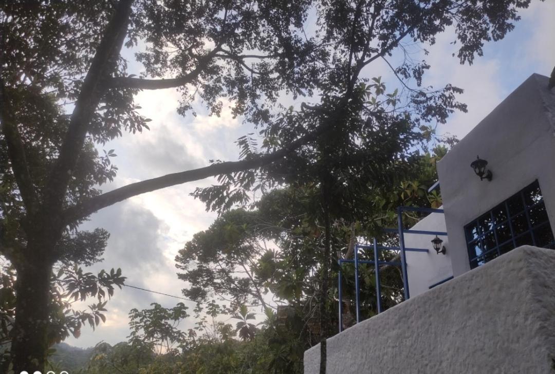 Hotel Glamping San Luis Nativa Exterior foto