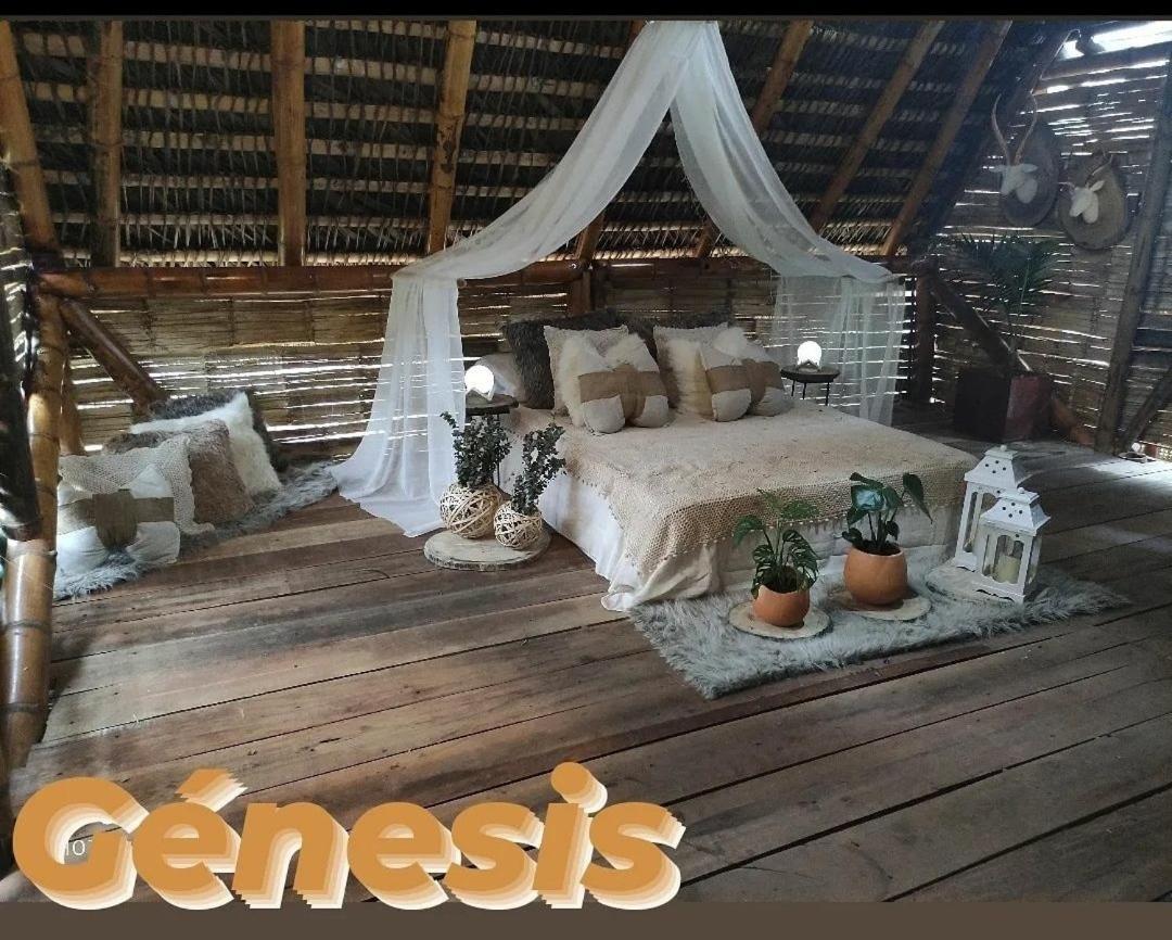 Hotel Glamping San Luis Nativa Exterior foto